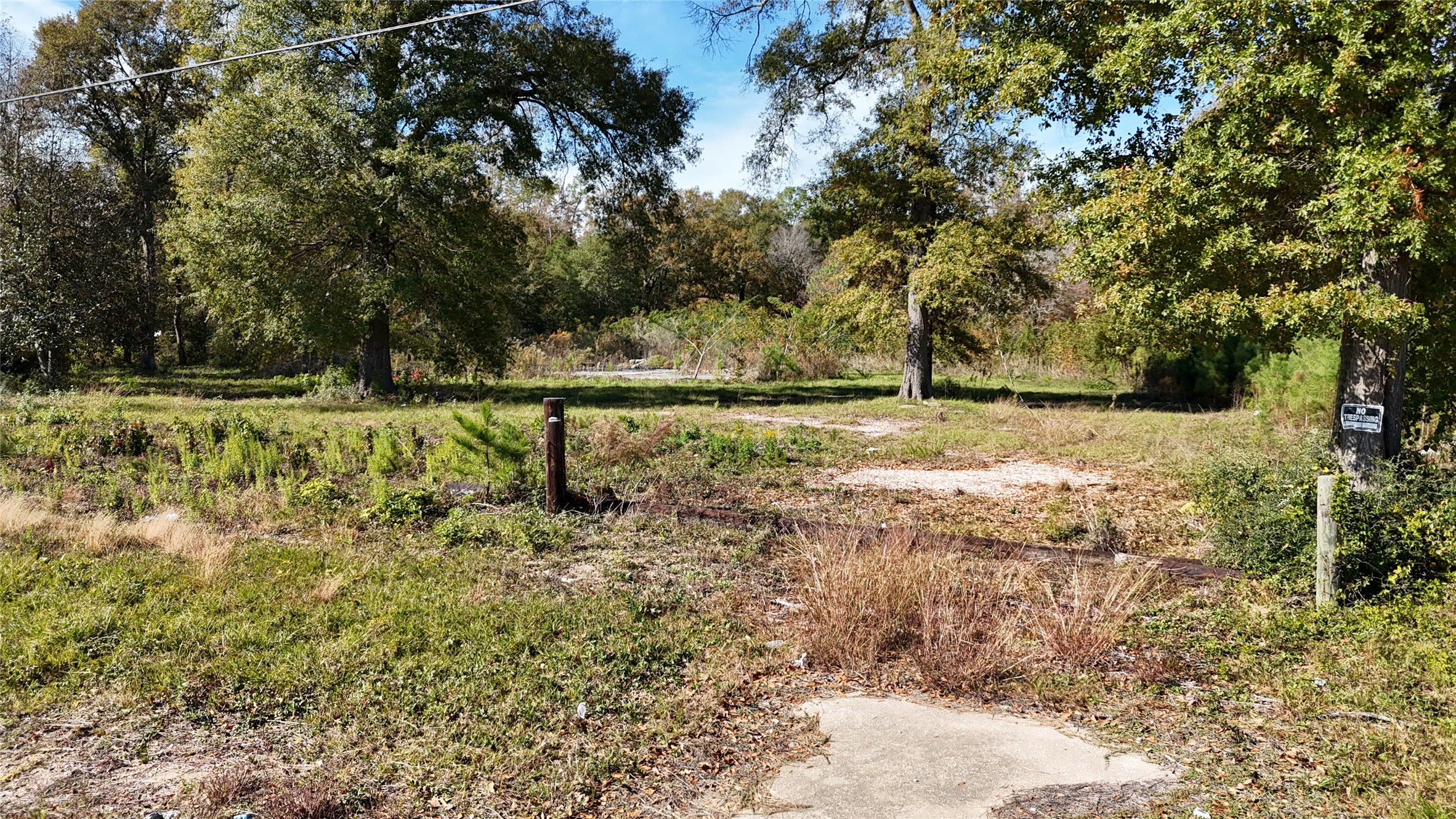 13720 Highway 59 Splendora, TX 77372 - Photo 7 of 12 a view of a yard with large trees