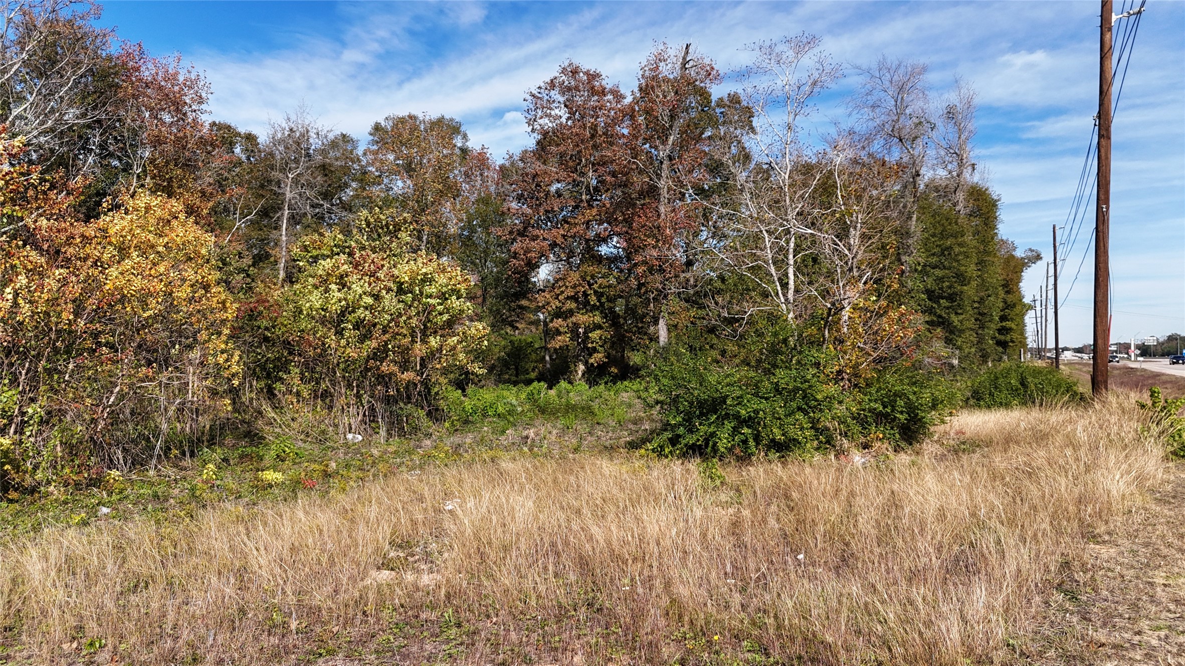 13720 Highway 59 Splendora, TX 77372 - Photo 8 of 12 a view of a yard