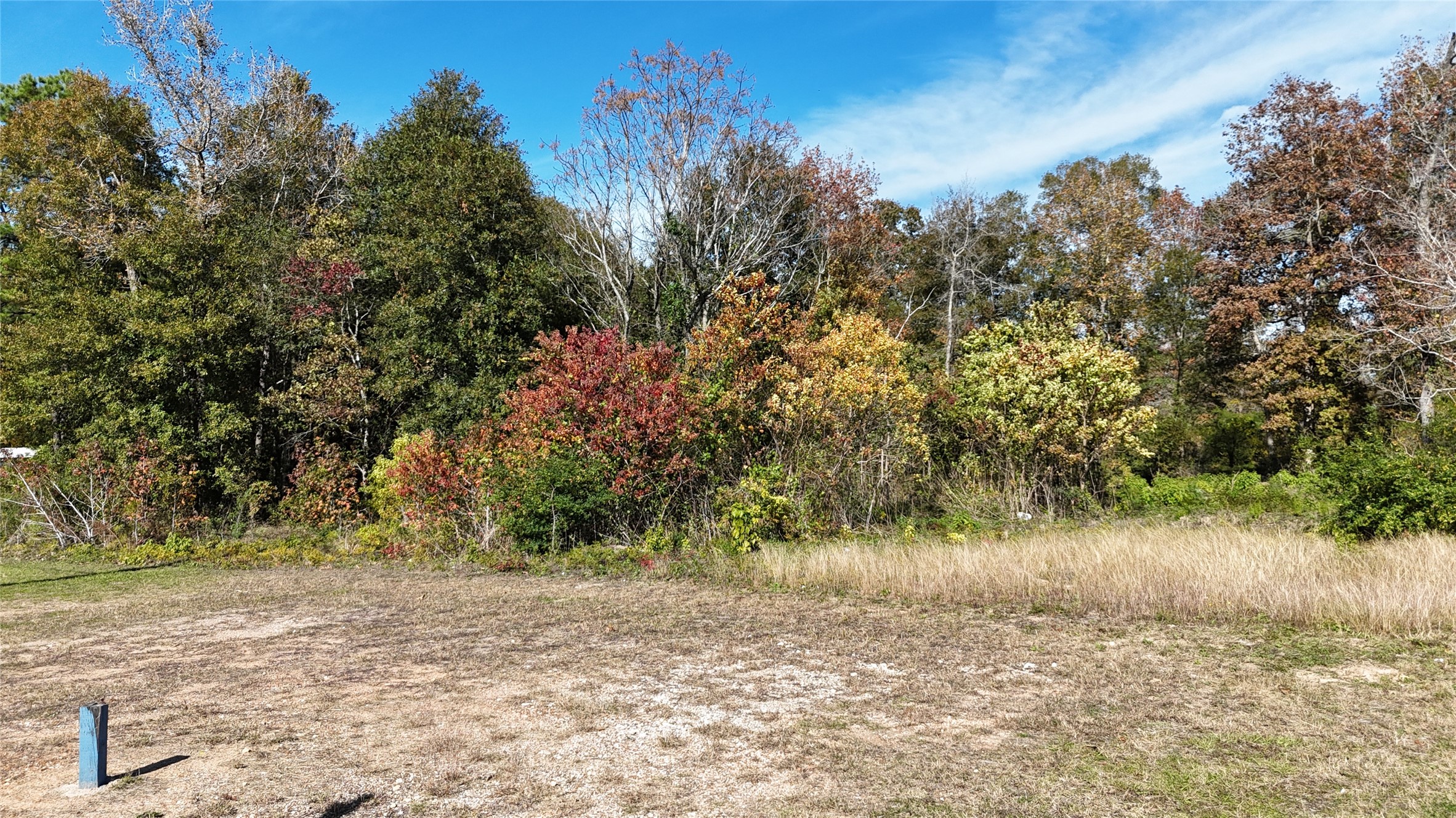 13720 Highway 59 Splendora, TX 77372 - Photo 9 of 12 a view of a yard next to a house