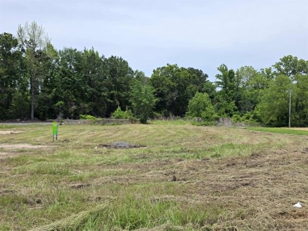 1.56-acres Mill Road West Logansport, LA 71049 - Photo 4 of 5