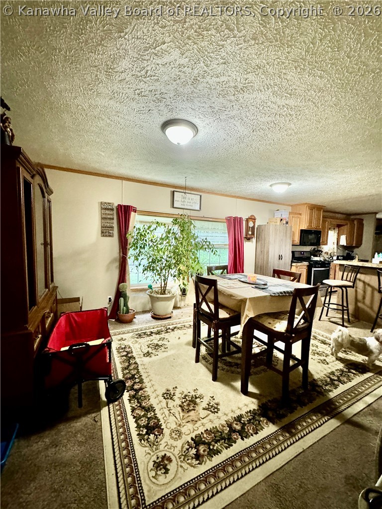 264 Barberry Road Ranger, WV 25557 - Photo 15 of 31 Gallery Image 15