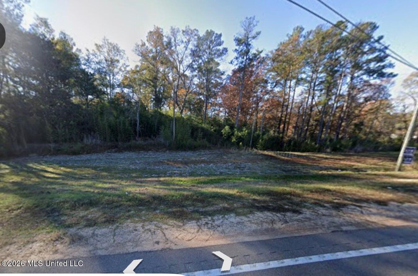 18 Mississippi Raleigh, MS 39153 - Photo 1 of 4 844C991D-DBB0-4A59-81A5-EE635439B18C