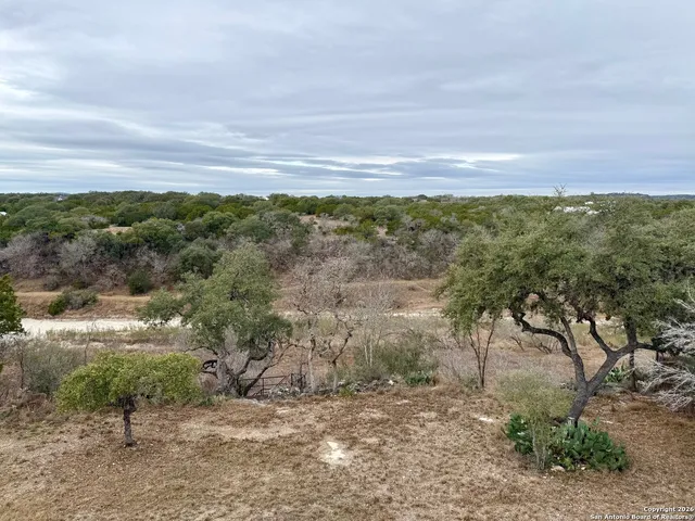 a view of a yard with a forest