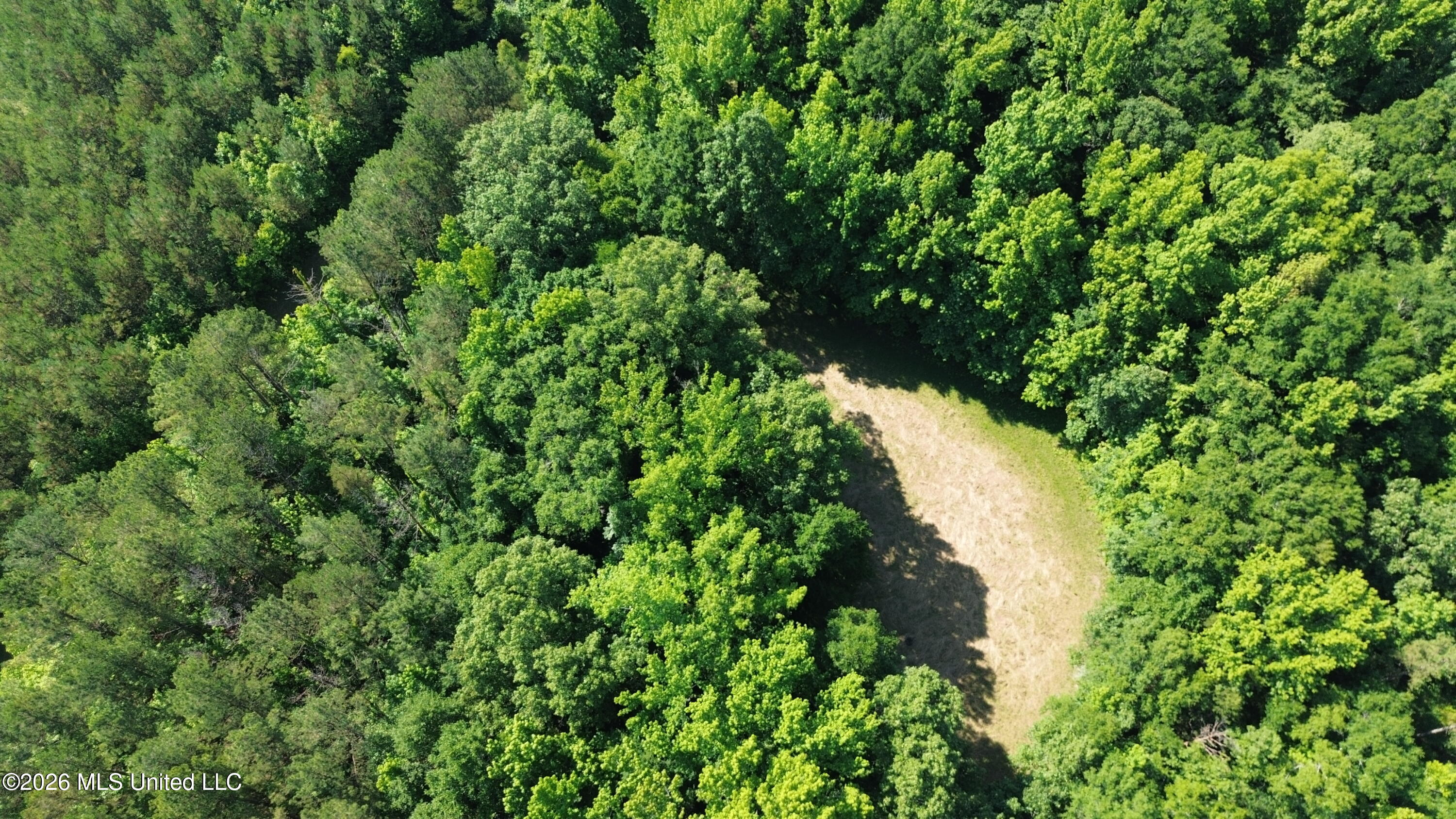 1359 Loring Rd Exd Camden, MS 39045 - Photo 85 of 91 DJI_0452