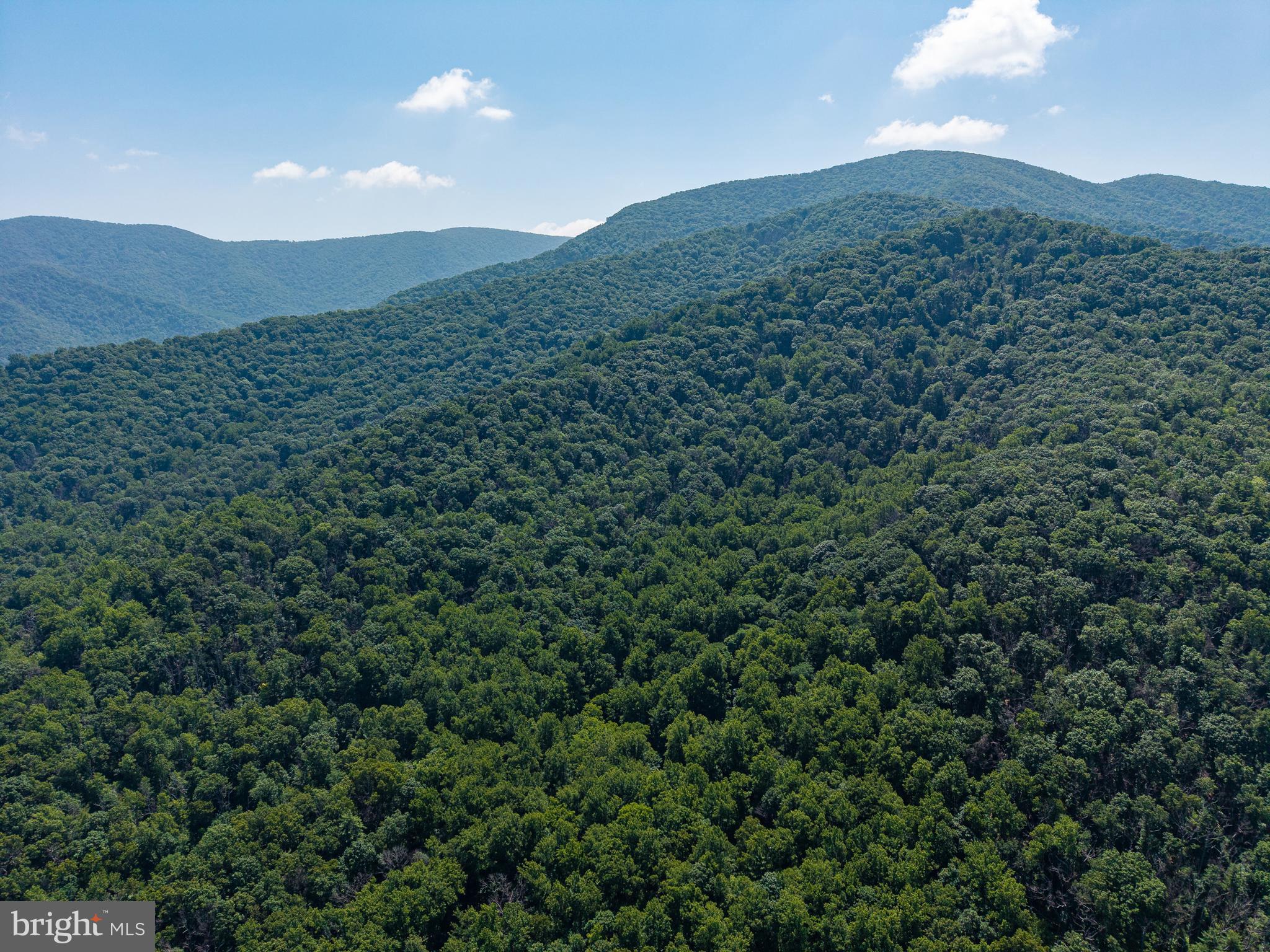 0 Helms Road Stanley, VA 22851 - Photo 16 of 50