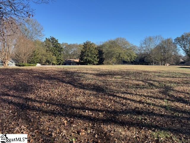 240 Jones Road Taylors, SC 29687 - Photo 17 of 22