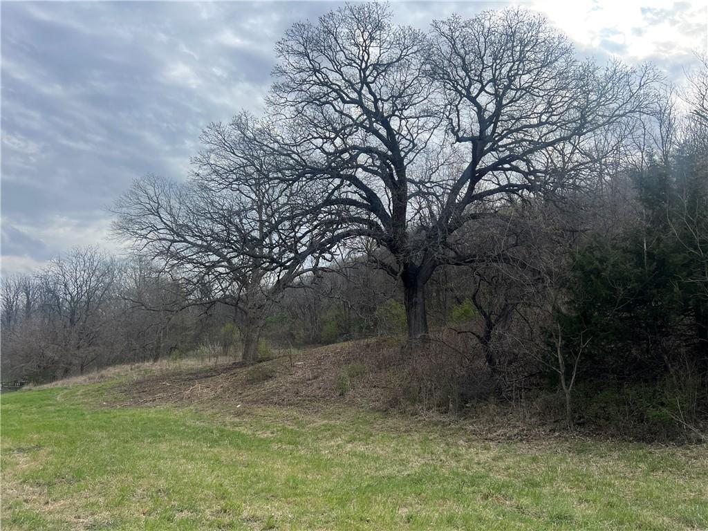 10367 Southwest Bluff Road St. Joseph, MO 64504 - Photo 12 of 31