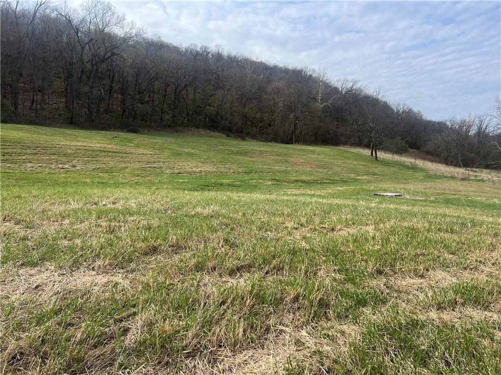 10367 Southwest Bluff Road St. Joseph, MO 64504 - Photo 15 of 31