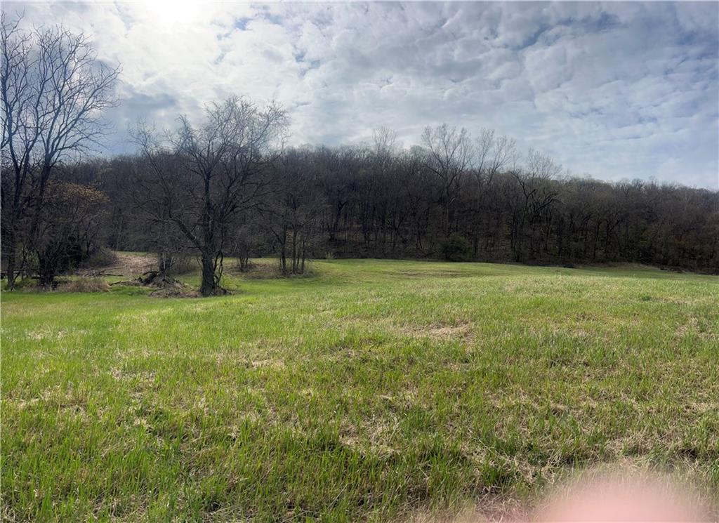 10367 Southwest Bluff Road St. Joseph, MO 64504 - Photo 18 of 31