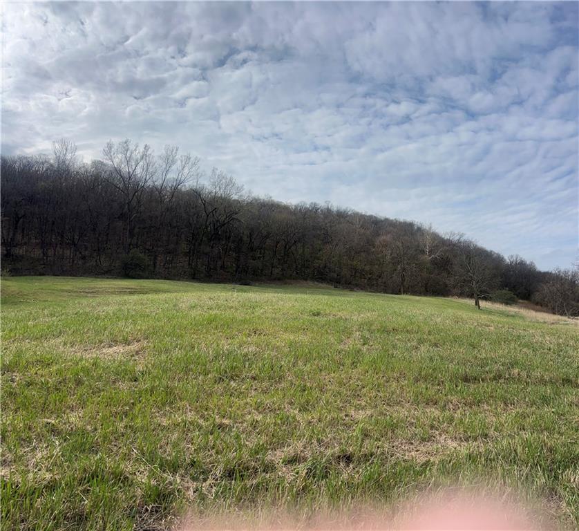 10367 Southwest Bluff Road St. Joseph, MO 64504 - Photo 19 of 31