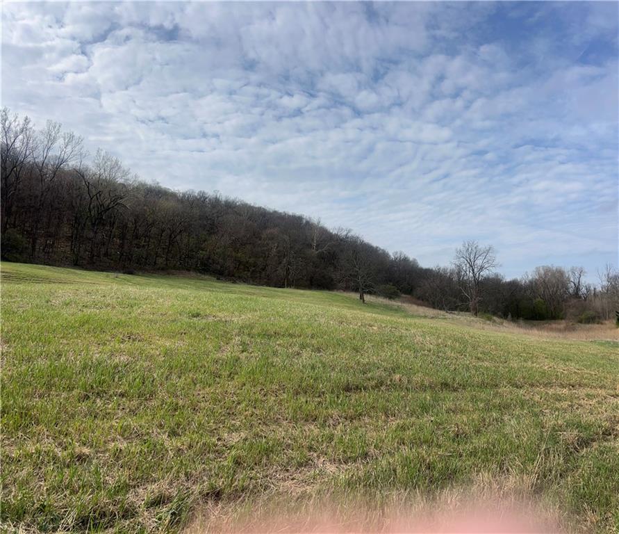 10367 Southwest Bluff Road St. Joseph, MO 64504 - Photo 20 of 31