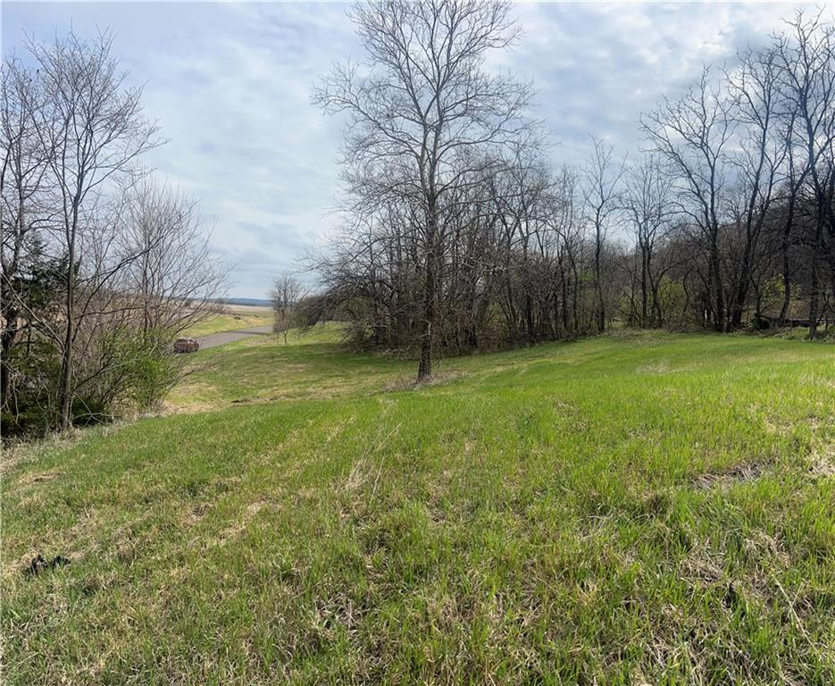 10367 Southwest Bluff Road St. Joseph, MO 64504 - Photo 21 of 31