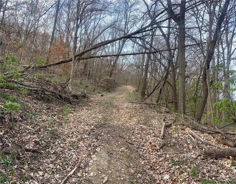 10367 Southwest Bluff Road St. Joseph, MO 64504 - Photo 22 of 31