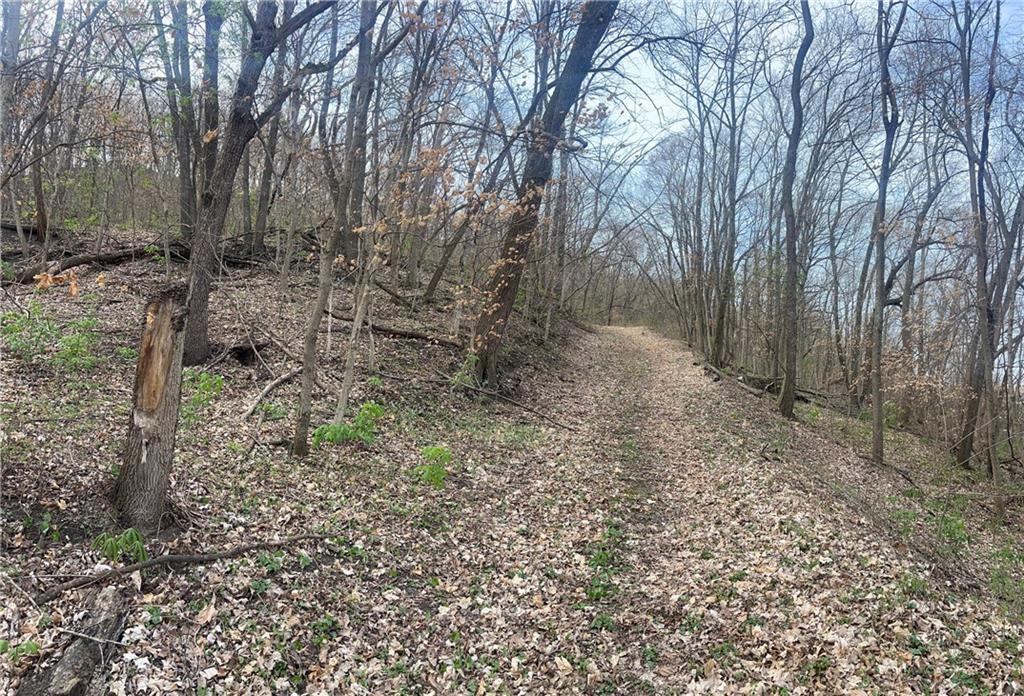 10367 Southwest Bluff Road St. Joseph, MO 64504 - Photo 23 of 31