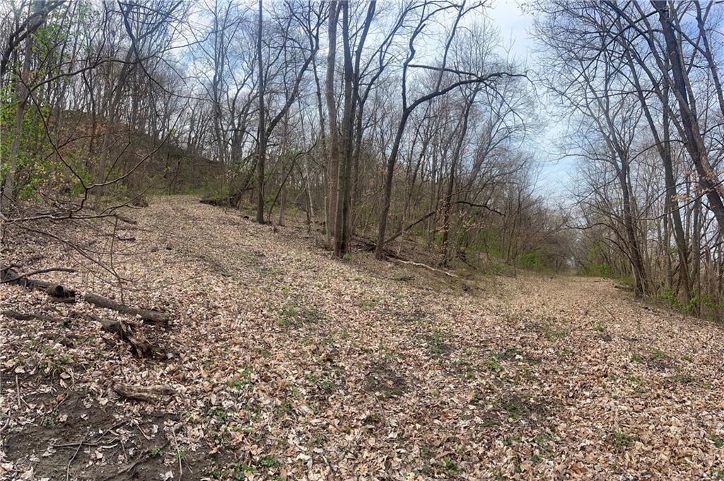 10367 Southwest Bluff Road St. Joseph, MO 64504 - Photo 24 of 31