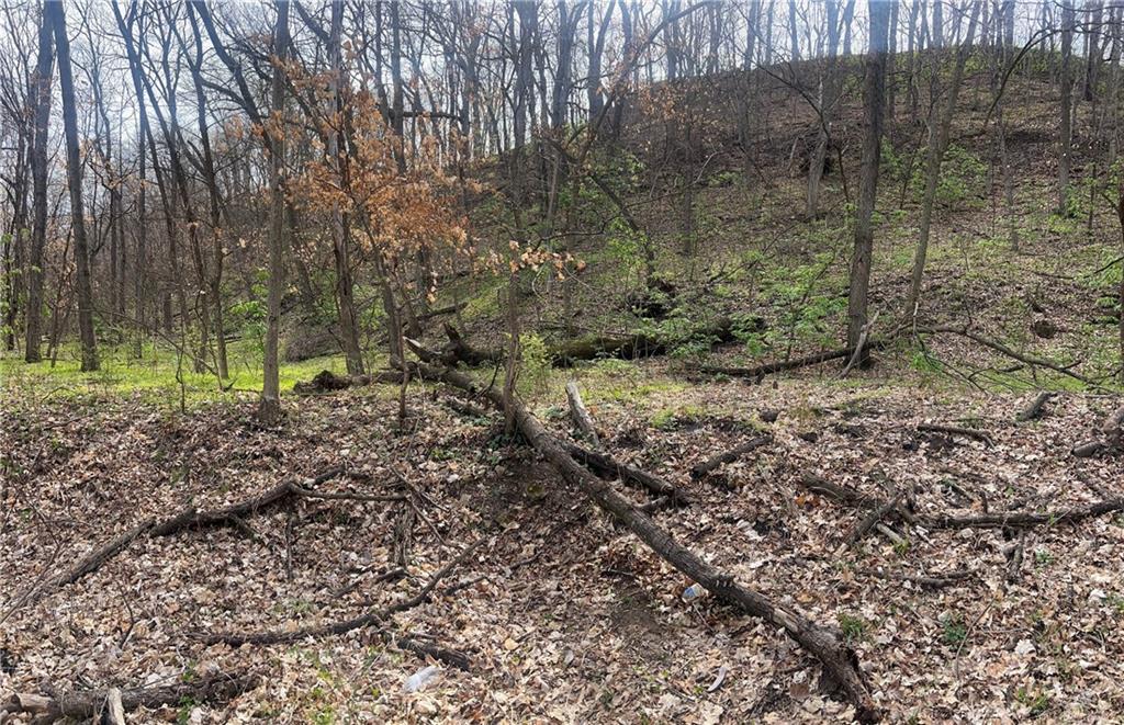 10367 Southwest Bluff Road St. Joseph, MO 64504 - Photo 25 of 31