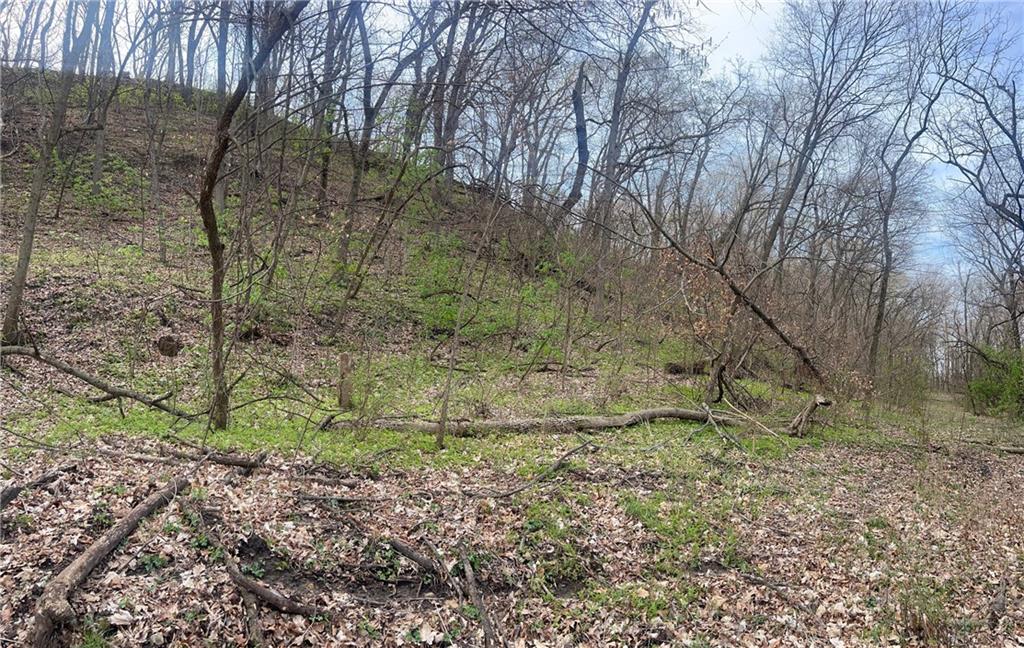 10367 Southwest Bluff Road St. Joseph, MO 64504 - Photo 26 of 31