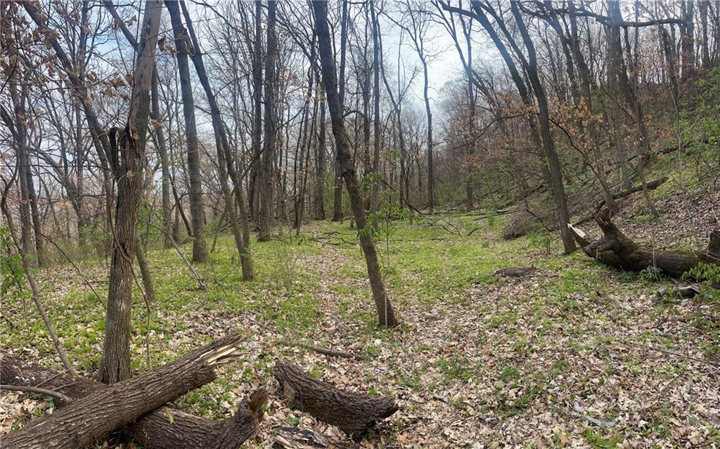 10367 Southwest Bluff Road St. Joseph, MO 64504 - Photo 27 of 31