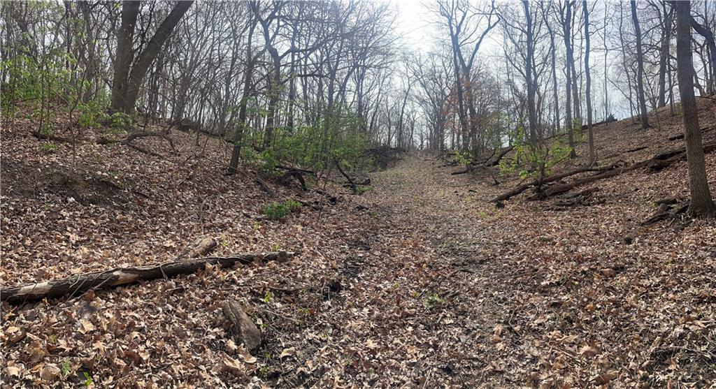 10367 Southwest Bluff Road St. Joseph, MO 64504 - Photo 29 of 31