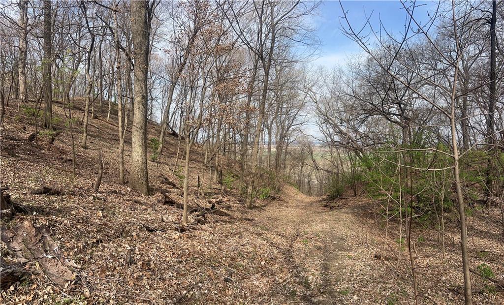 10367 Southwest Bluff Road St. Joseph, MO 64504 - Photo 30 of 31