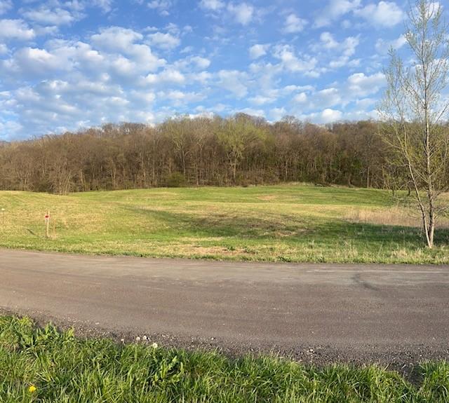 10367 Southwest Bluff Road St. Joseph, MO 64504 - Photo 4 of 31