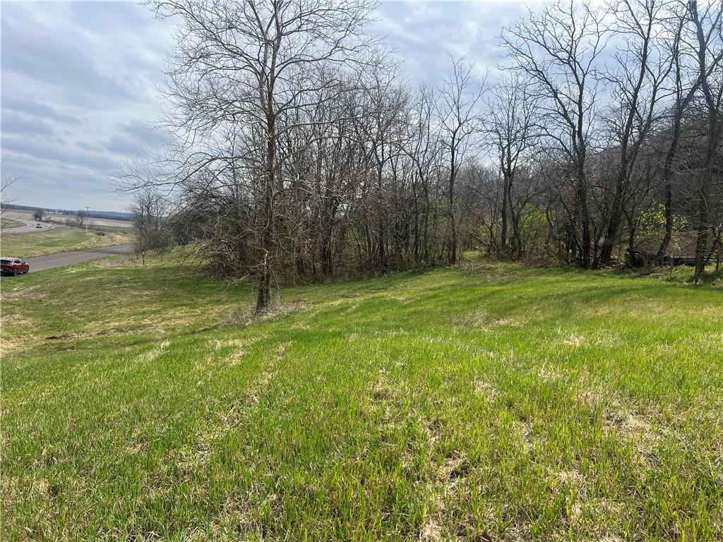 10367 Southwest Bluff Road St. Joseph, MO 64504 - Photo 7 of 31