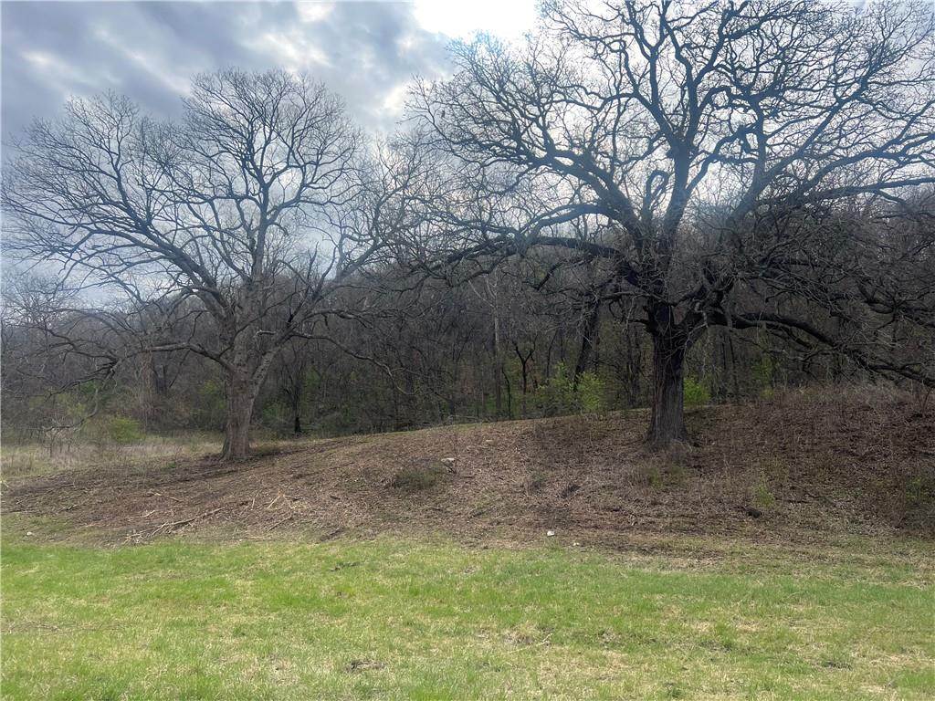 10367 Southwest Bluff Road St. Joseph, MO 64504 - Photo 8 of 31