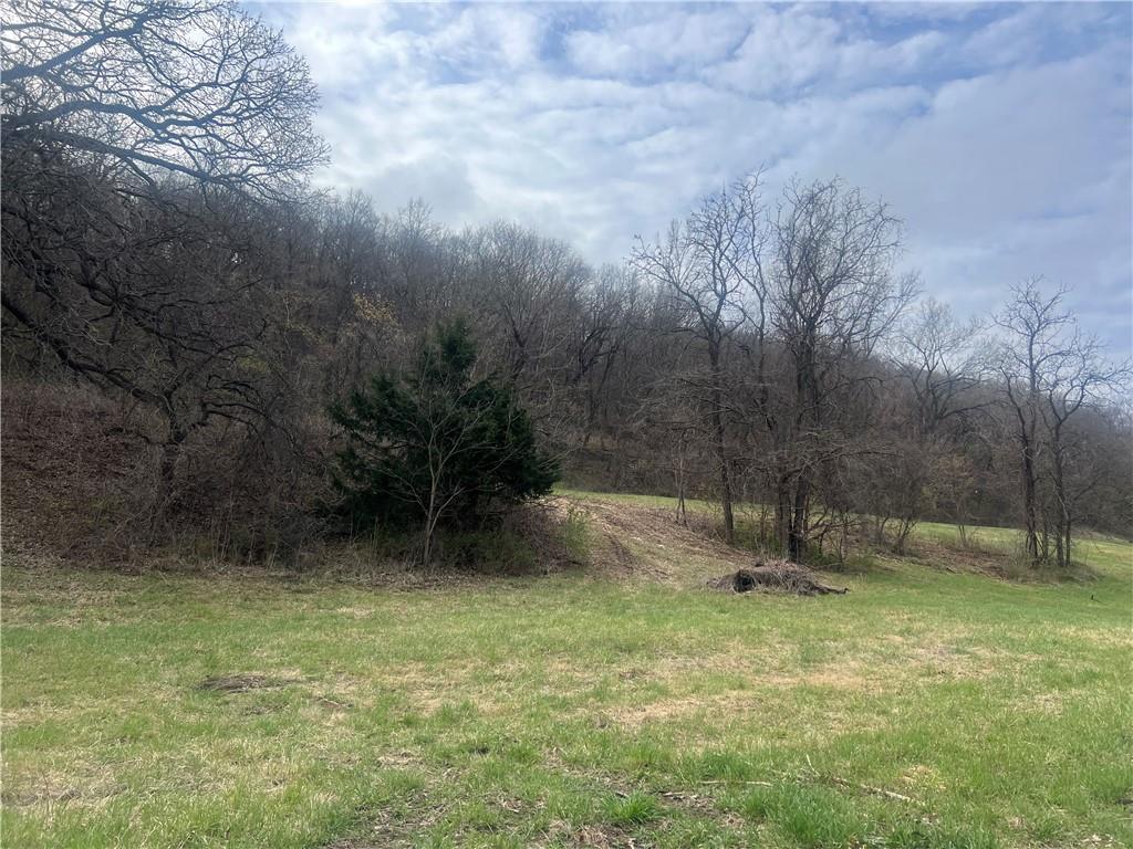 10367 Southwest Bluff Road St. Joseph, MO 64504 - Photo 9 of 31