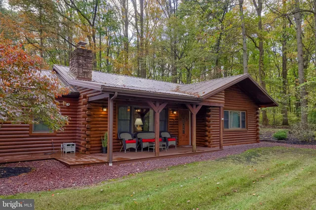 a view of a road with plants and large trees