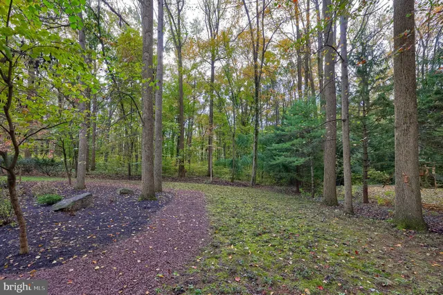 a view of outdoor space and yard