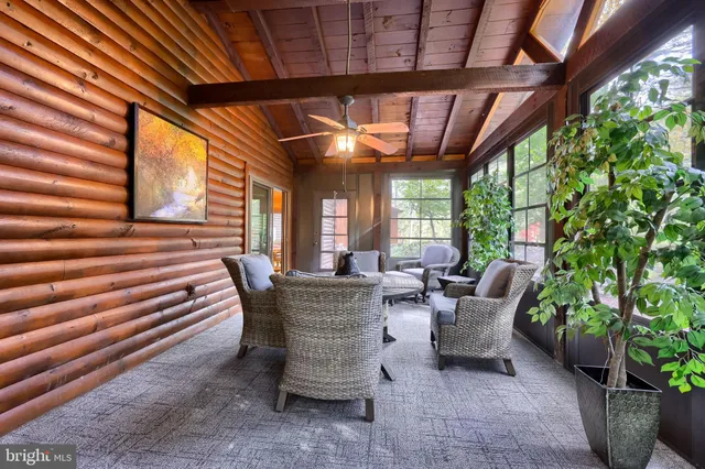 a view of a garden with trees