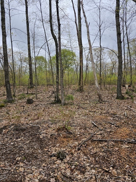123 Keys Road Warren, MA 01585 - Photo 11 of 12 a backyard of a house with lots of green space