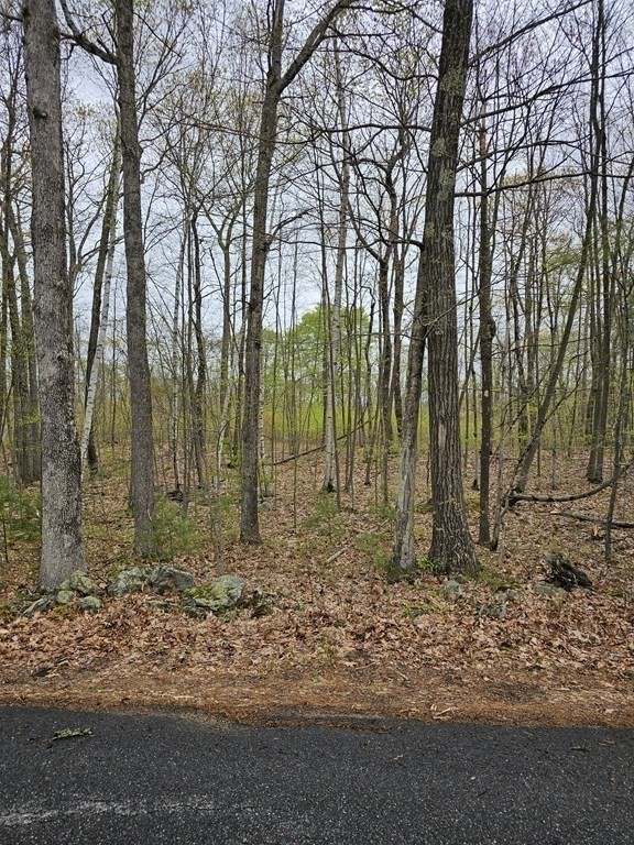 123 Keys Road Warren, MA 01585 - Photo 6 of 12 a view of outdoor space with lots of trees
