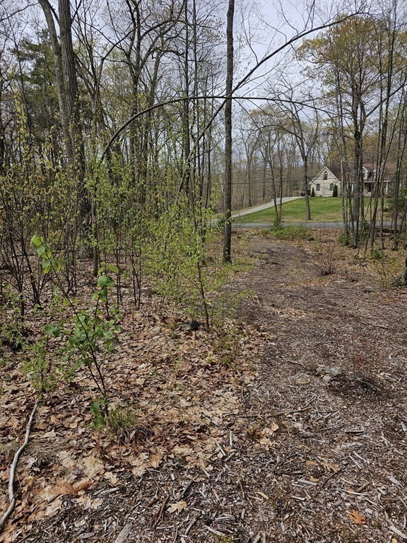 123 Keys Road Warren, MA 01585 - Photo 8 of 12 a view of outdoor space with trees