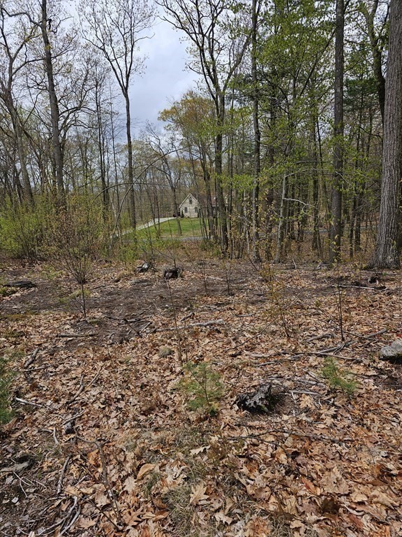 123 Keys Road Warren, MA 01585 - Photo 10 of 12 a view of a yard with a tree