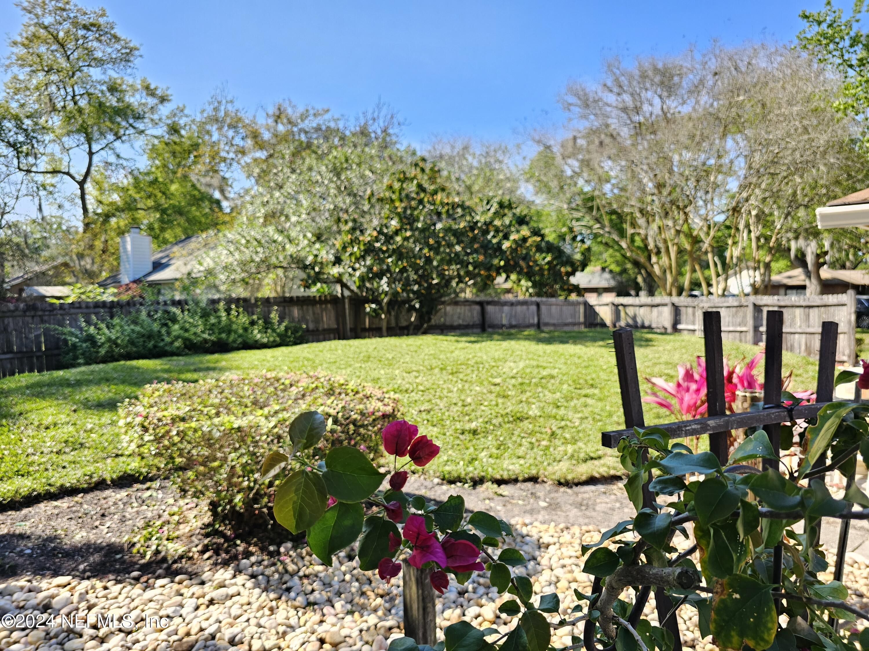 1474 Fruit Cove Forest Road North St. Johns, FL 32259 - Photo 3 of 36 a view of yard with swimming pool and green space