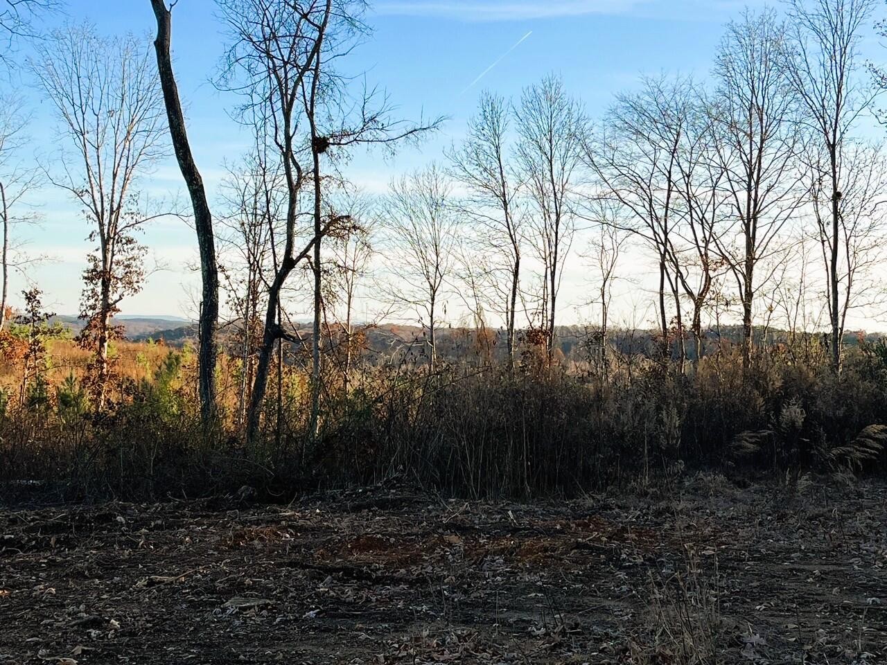 1675 Euchee Road Ten Mile, TN 37880 - Photo 25 of 30