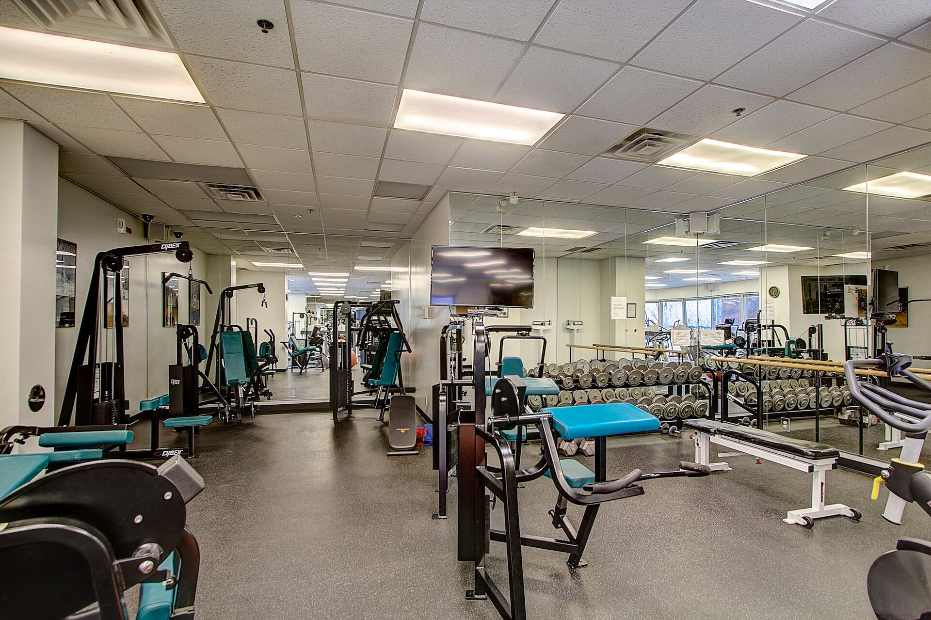 1660 North Prospect Avenue, Unit 506 Milwaukee, WI 53202 - Photo 28 of 31 N Prospect Amenities-9