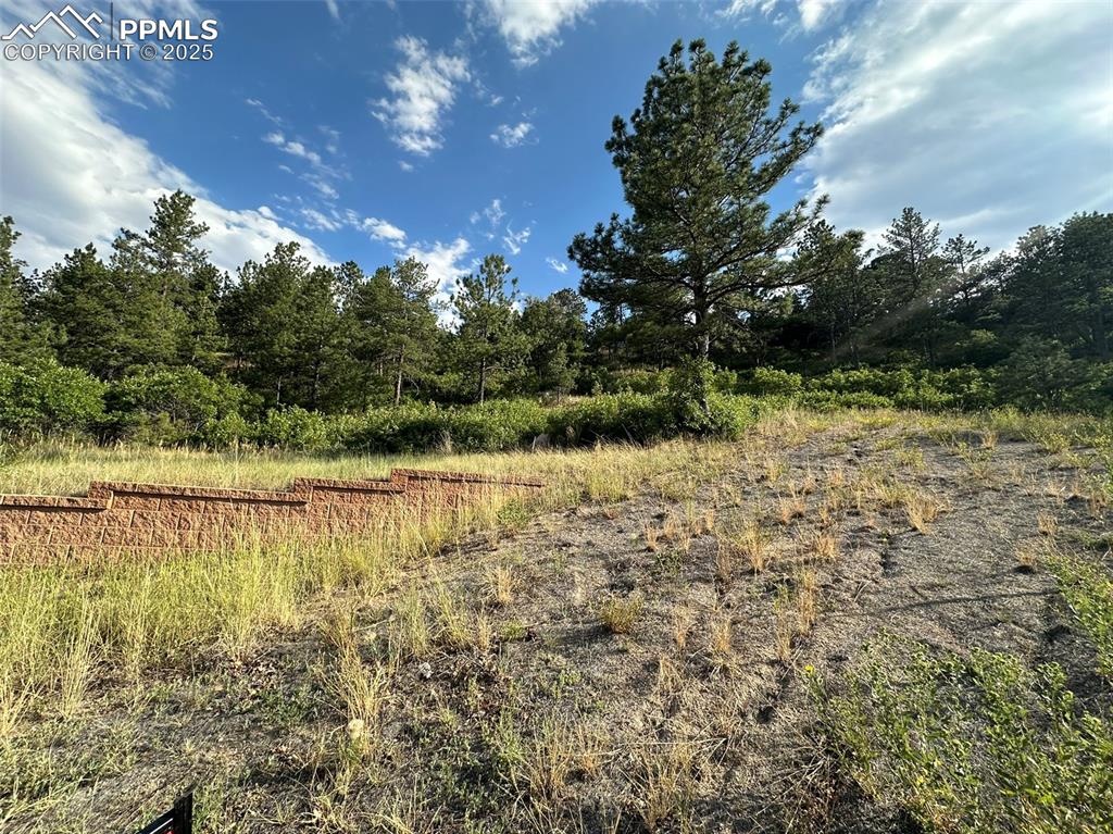 45 West Woodmen Road Colorado Springs, CO 80919 - Photo 3 of 13 a view of a lake with a yard