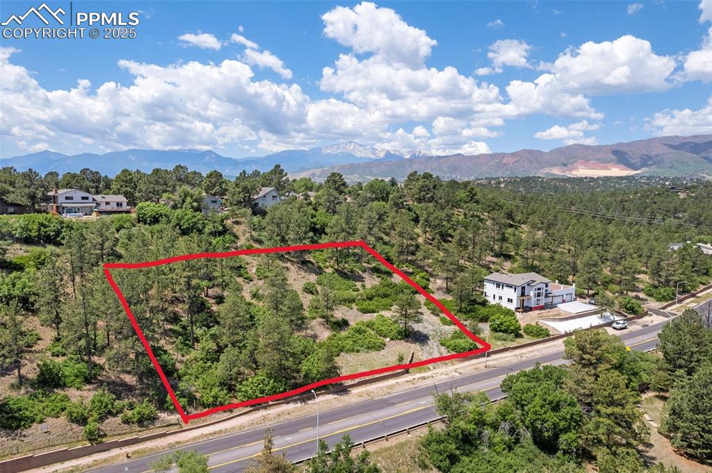 45 West Woodmen Road Colorado Springs, CO 80919 - Photo 5 of 13 a view of a bunch of flowers