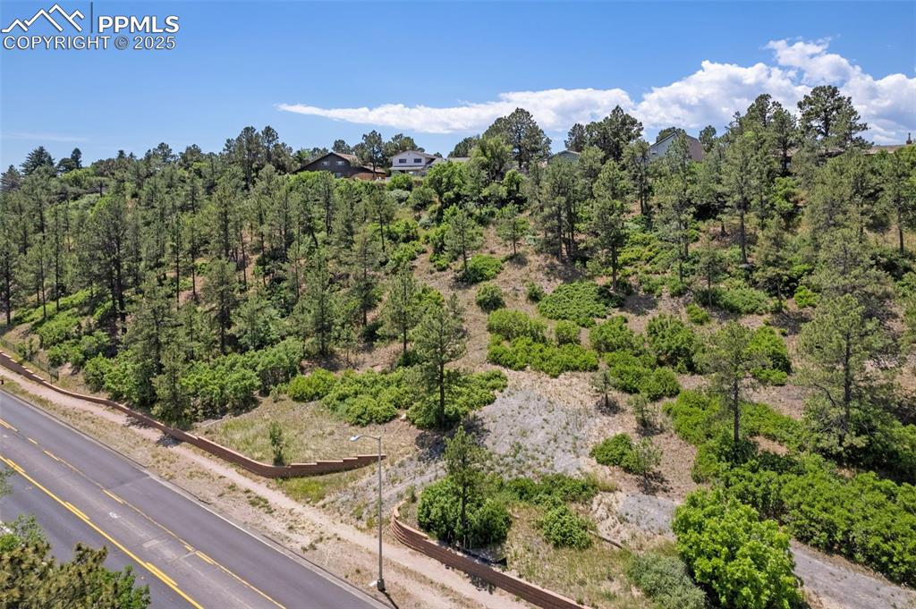 45 West Woodmen Road Colorado Springs, CO 80919 - Photo 10 of 13 a view of a garden with a tree
