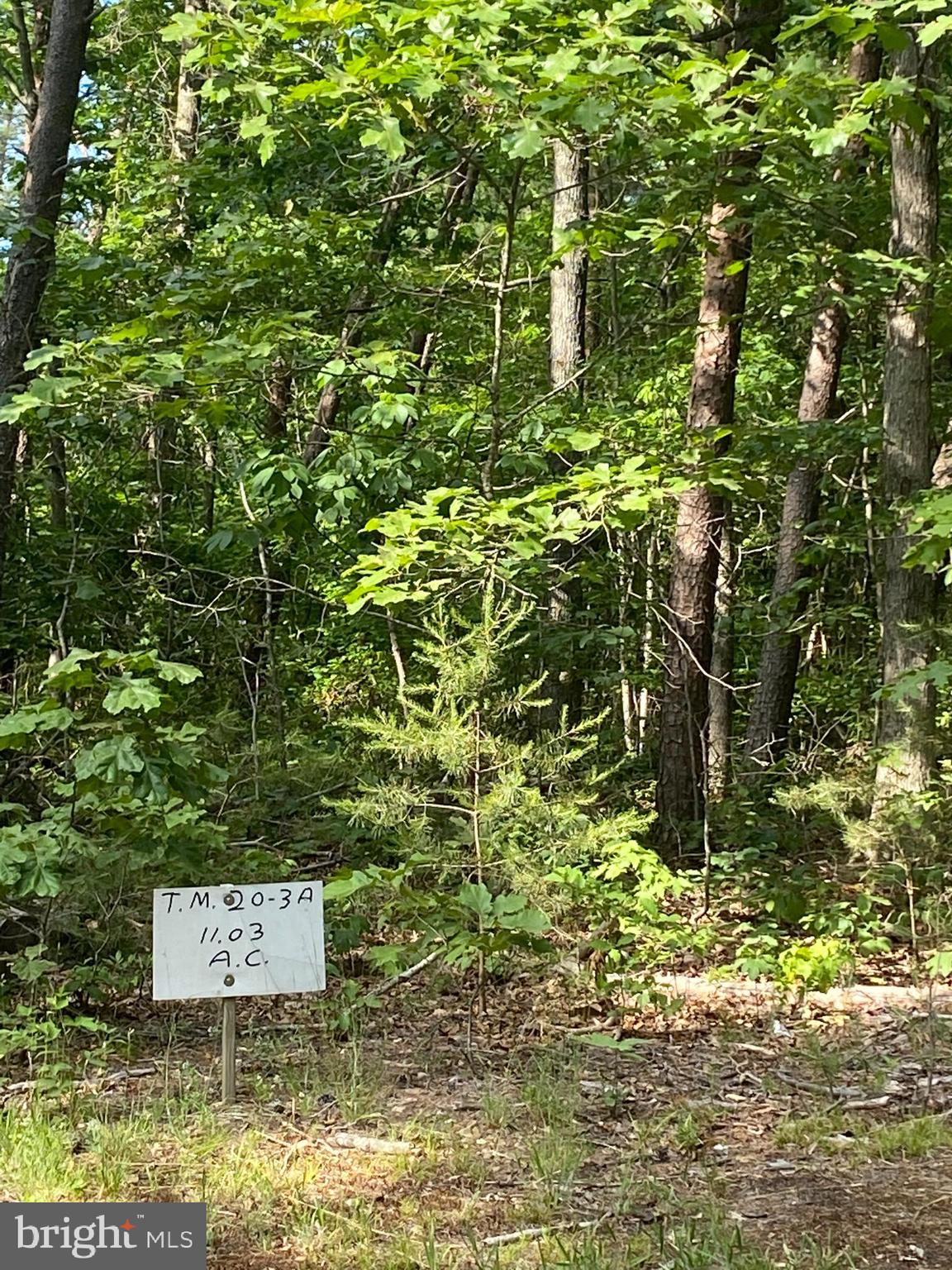 3 Spring Hollow Lane Rixeyville, VA 22737 - Photo 1 of 2 11.03 Acres