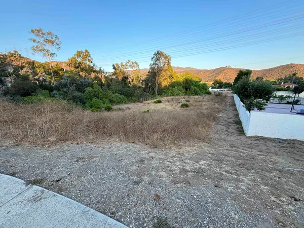 a view of a dry yard with trees