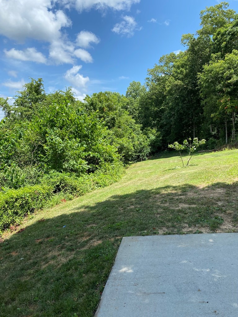 168 Clear Creek Road Kodak, TN 37764 - Photo 43 of 62