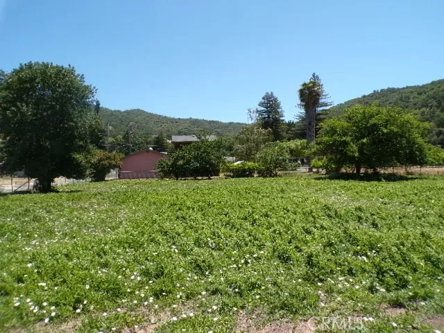 a view of a lush green outdoor space with a lake view