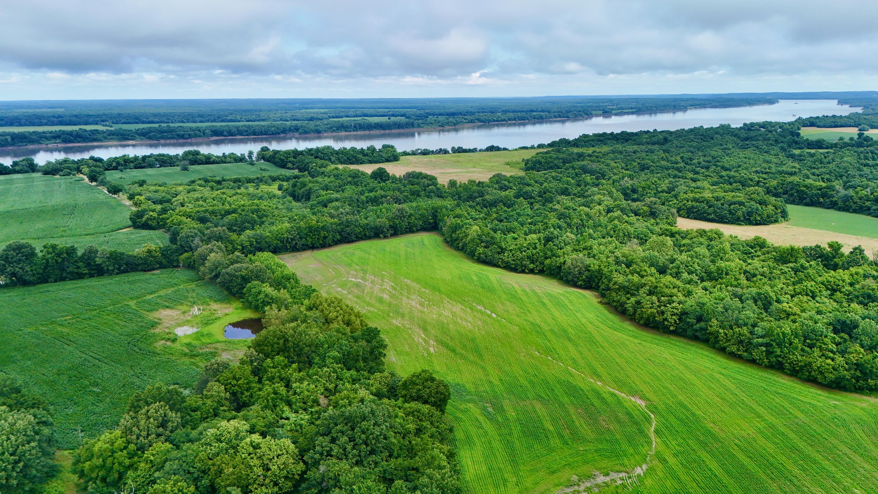 0 Gillahan Road, Unit 1B Ledbetter, KY 42058 - Photo 5 of 8 dji_fly_20260612_112034_0612_17814972760