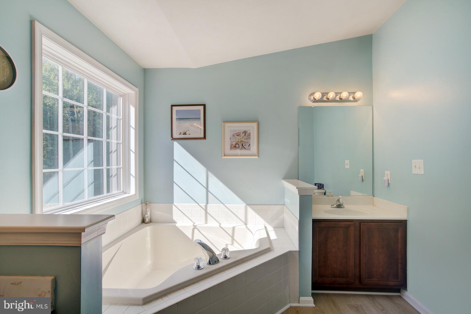 8857 Mullen Road King George, VA 22485 - Photo 20 of 40 Master bath. Again the natural light!