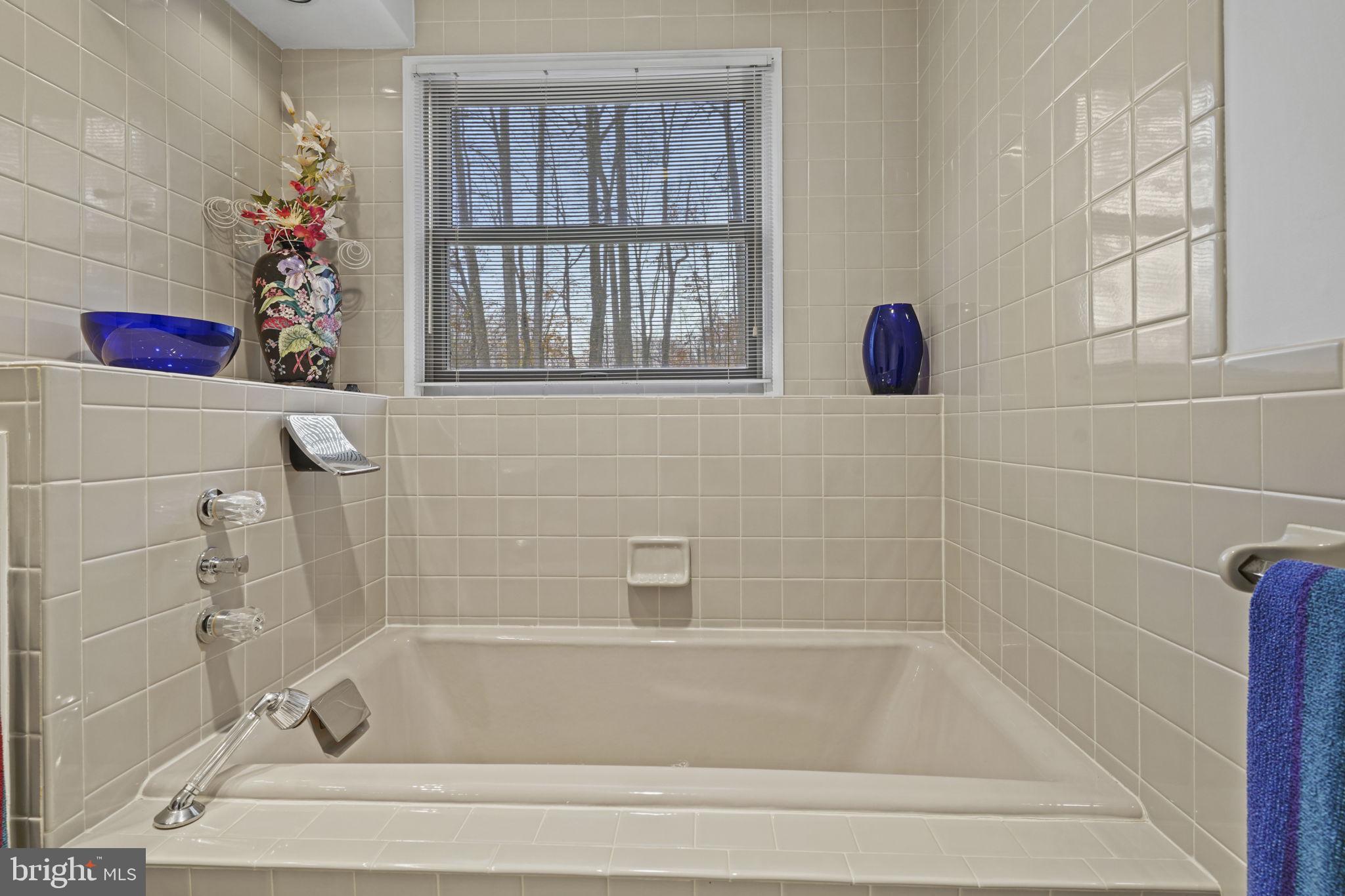 520 Chesapeake Beach Road Owings, MD 20736 - Photo 34 of 69 Nice Soaking Tub in the Lower Level Bath