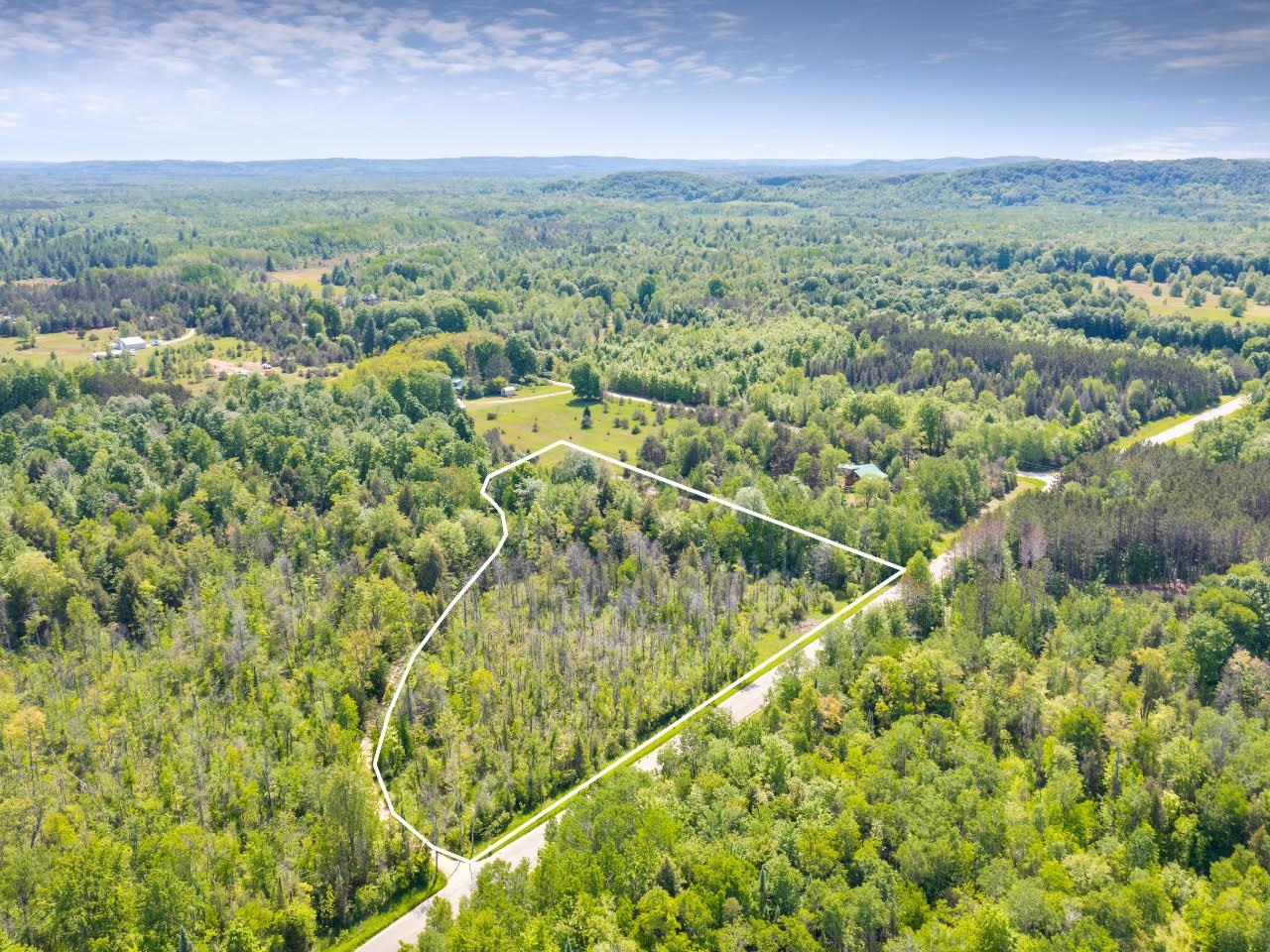 0 Springdale Road Thompsonville, MI 49683 - Photo 8 of 28