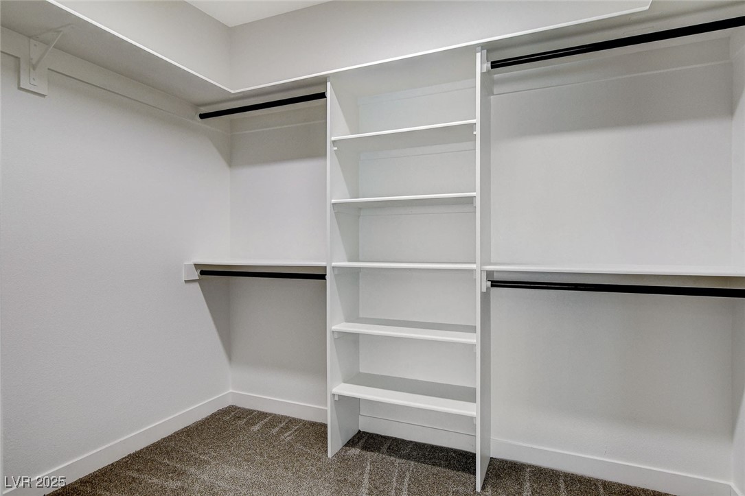 3196 Mateuse Street Logandale, NV 89021 - Photo 49 of 85 Walk in closet featuring carpet